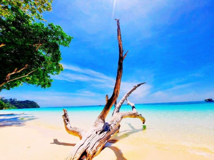 Ko Lanta: Koh Rok & Koh Haa Snorkelling Tour by Speedboat - Pickup Information