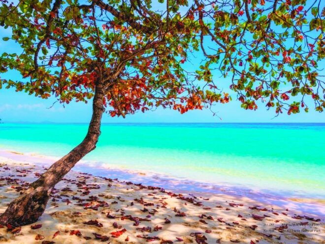 Ko Lanta: Koh Rok & Koh Haa Snorkelling Tour by Speedboat - Highlights of the Tour