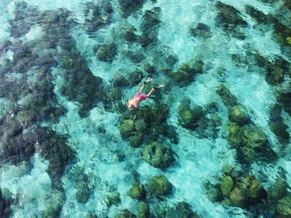 Ko Lanta: Koh Rok & Koh Haa Snorkelling Tour by Speedboat - Common Questions
