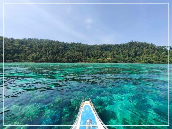 Ko Lanta: Koh Rok & Koh Haa Snorkelling Tour by Speedboat - The Sum Up
