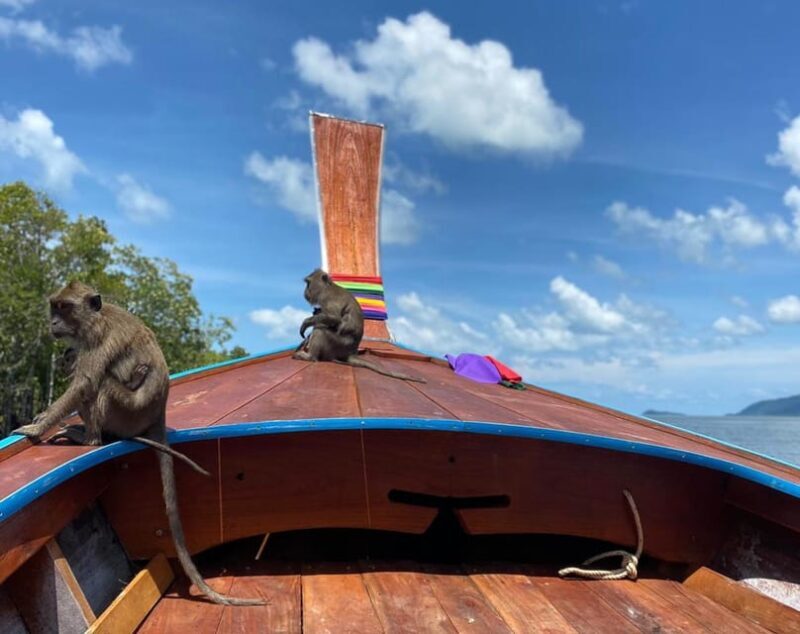 Ko Lanta: Mangrove Forest and Old Town Private Tour - A Closer Look at the Tour Experience