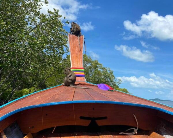 Ko Lanta: Mangrove Forest and Old Town Private Tour - Questions You May Have