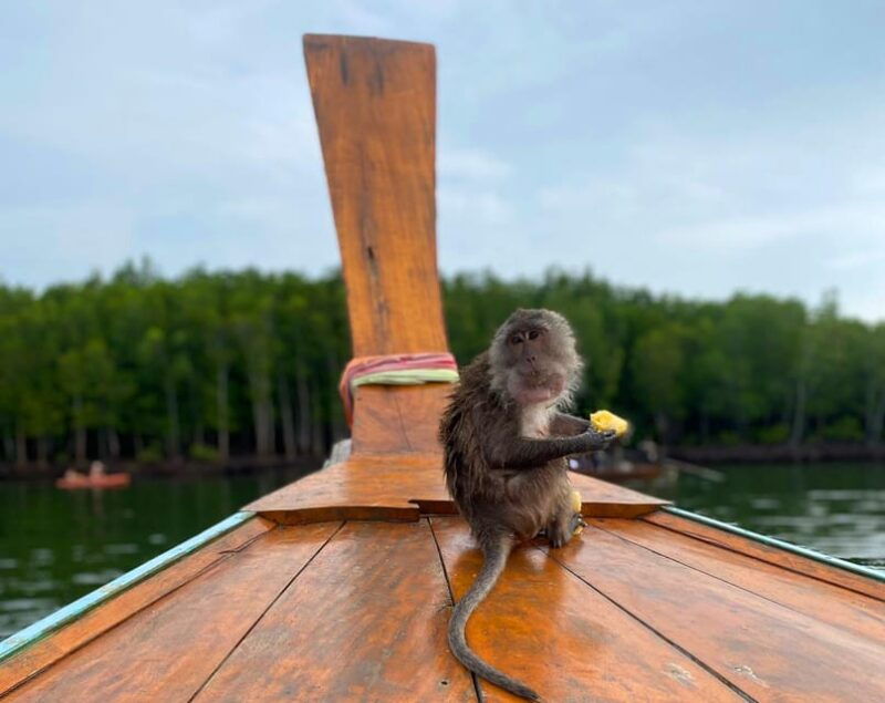 Ko Lanta: Mangrove Forest Kayak & Wildlife Adventure - Kayaking and Long-Tail Boat Ride