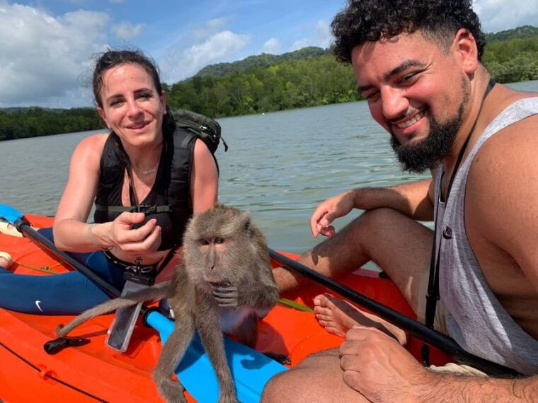 Ko Lanta: Mangrove Forest Kayak & Wildlife Adventure - Wildlife Viewing in the Mangrove Forest