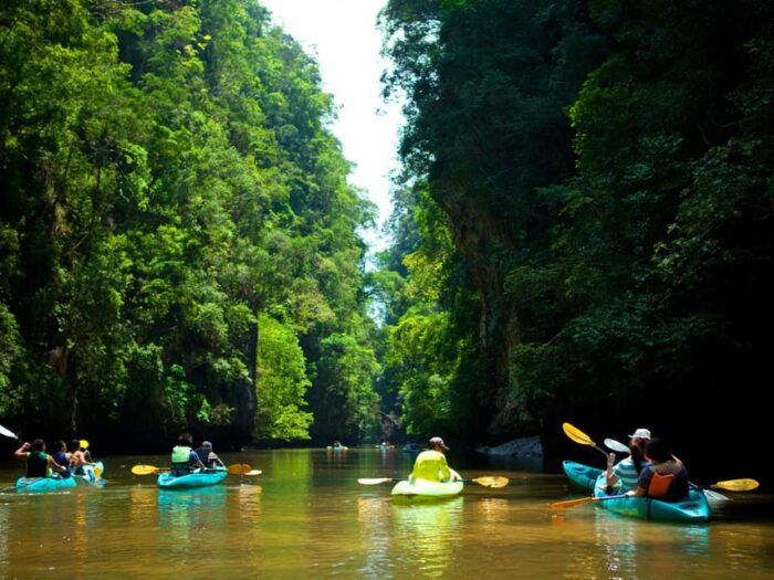 Ko Lanta: Mangrove Forest Kayak & Wildlife Adventure - Tour Highlights and Inclusions