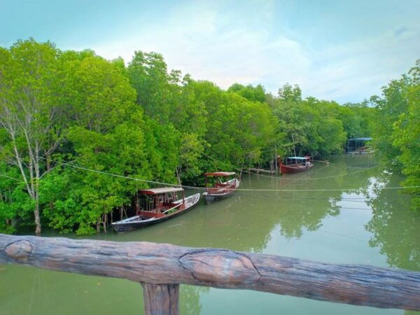 Ko Lanta: Mangrove Kayaking Half-Day Tour - Transportation Rating