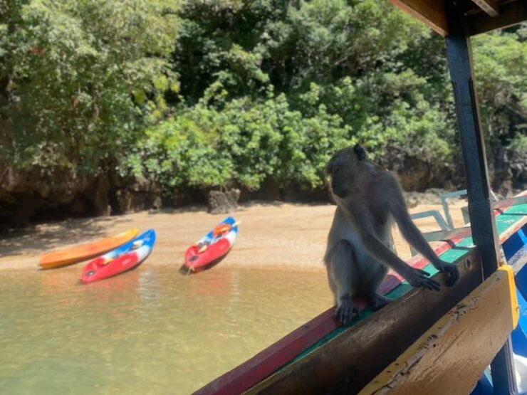 Ko Lanta: Mangrove Kayaking, Ko Talabeng, & Skull Island - Tour Highlights