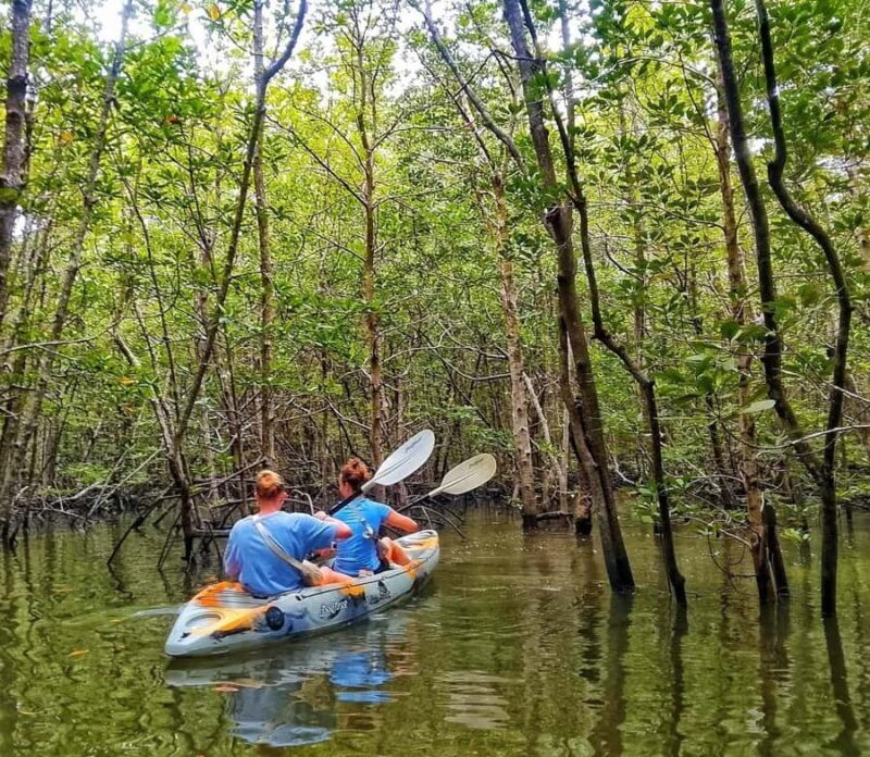 Ko lanta: Mangrove Kayaking+ Skull Island+ Sea Cave Kayaking - Why This Tour Delivers Great Value