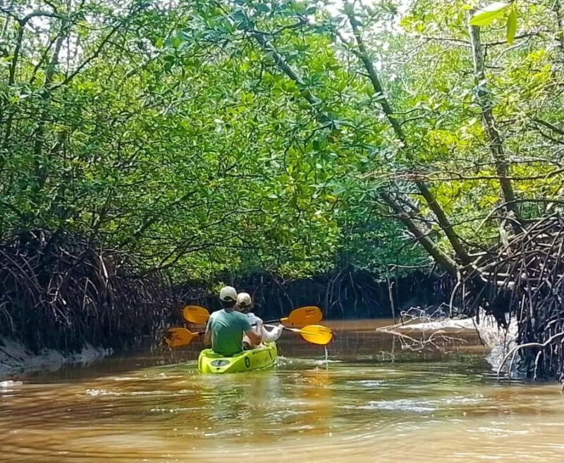 Ko lanta: Mangrove Kayaking+ Skull Island+ Sea Cave Kayaking - Who Should Consider This Tour