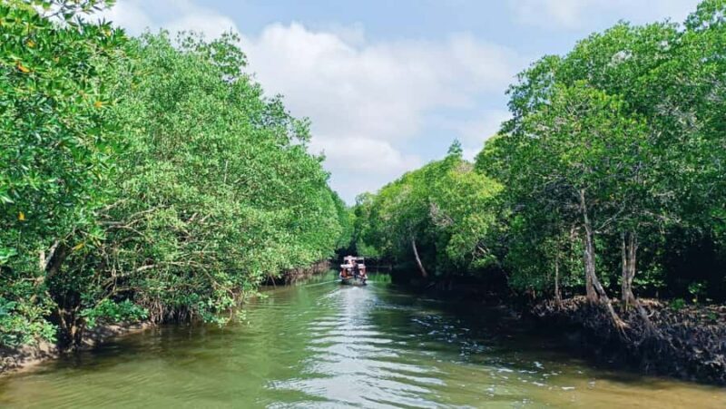 Ko lanta: Mangrove Kayaking+ Skull Island+ Sea Cave Kayaking - Good To Know