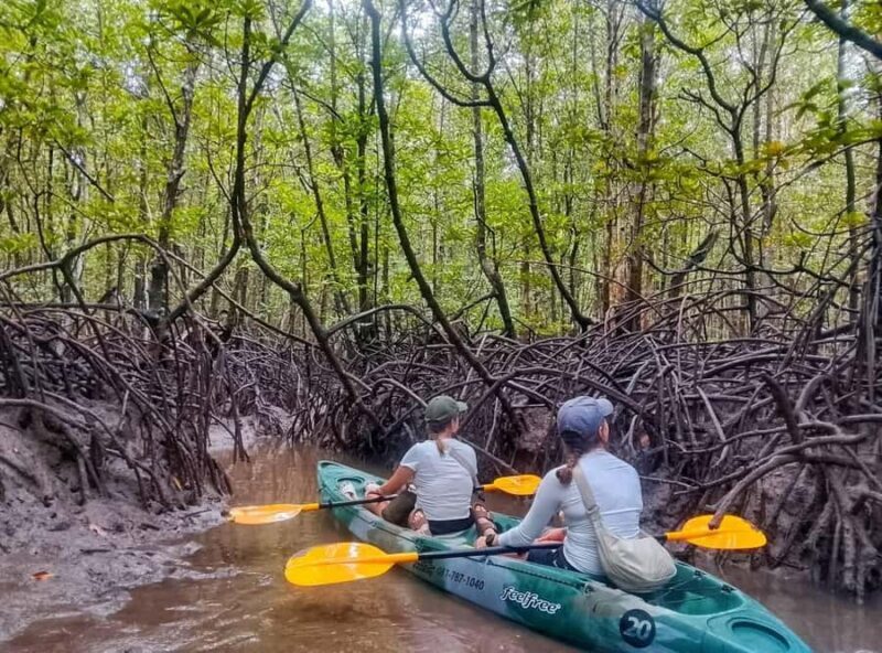 Ko lanta: Mangrove Kayaking+ Skull Island+ Sea Cave Kayaking - FAQ