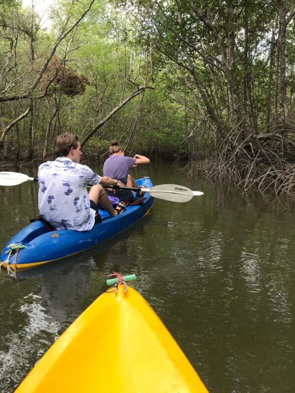 Ko Lanta: Mangrove Kayaking Tour with Lunch & Wildlife - Good To Know  
