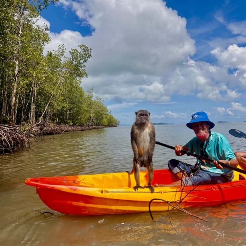 Ko Lanta: Mangrove Kayaking Tour with Lunch & Wildlife - The Experience in Detail