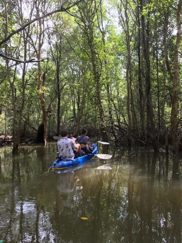 Ko Lanta: Mangrove Kayaking Tour with Lunch & Wildlife - Practical Considerations & Tips