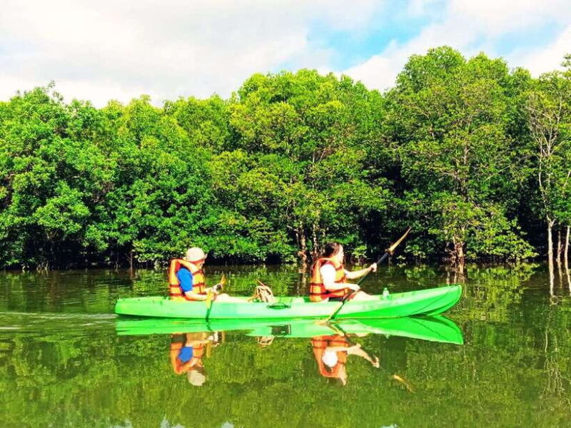 Ko Lanta: Mangrove Kayaking with Lunch and Hotel Transfer - Exploring Ko Lanta’s Mangroves: What to Expect