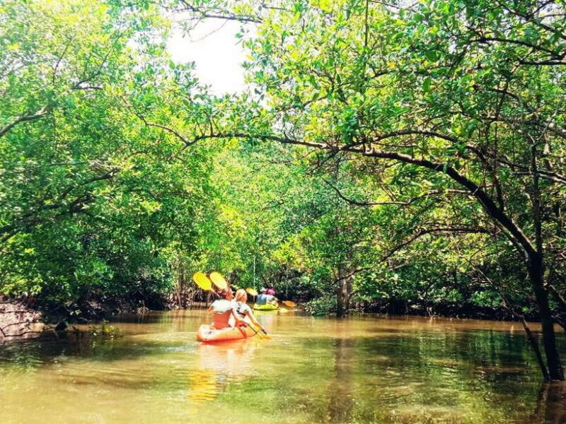 Ko Lanta: Mangrove Kayaking with Lunch and Hotel Transfer - Exploring Ko Lanta’s Mangrove Kayaking Tour: A Deep Dive