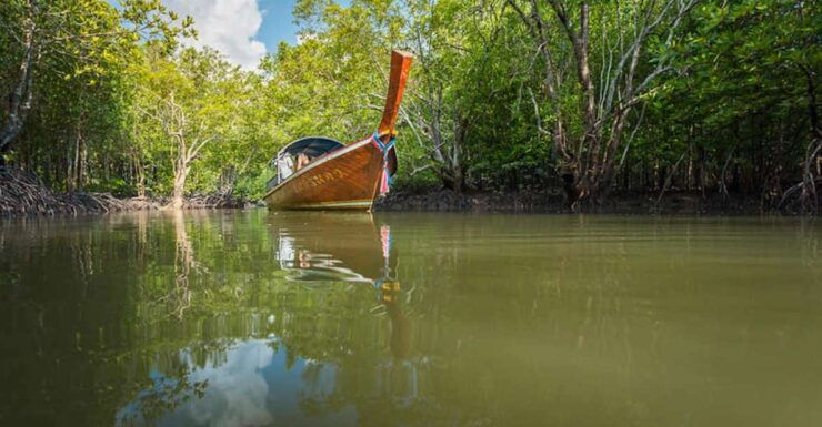 Ko Lanta: Mangrove Tour By Long Tail Boat - Highlights