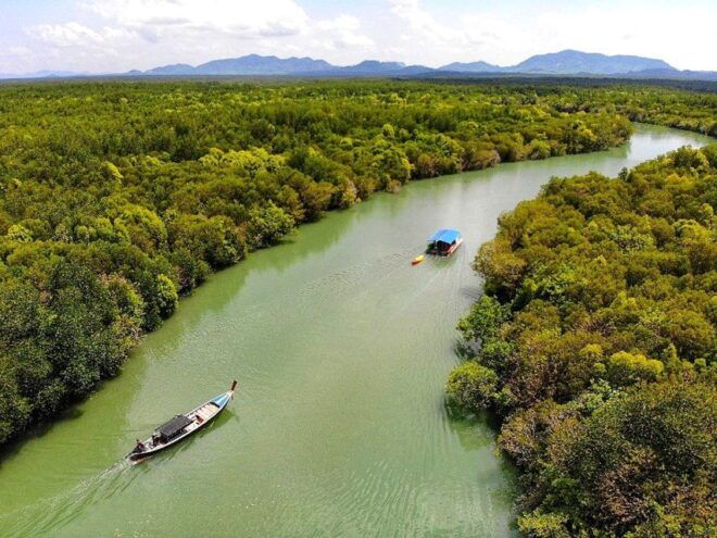 Ko Lanta: Mangrove Tour By Long Tail Boat - Reviews and Additional Information