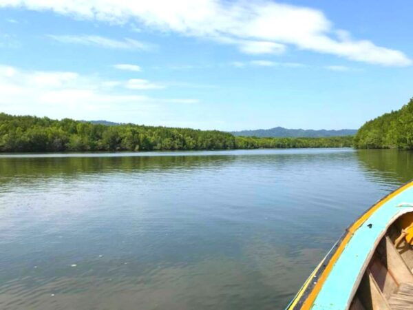 Ko Lanta: Mangrove Tour By Long Tail Boat - Common Questions