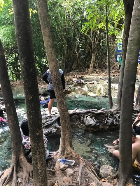 Ko Lanta: Mangrove Tour Emerald Pool Tour Hot Springs Tour - Emerald Pool Highlights