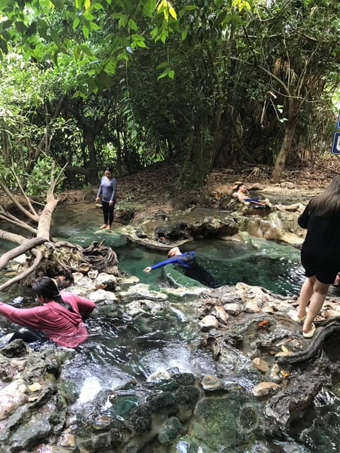 Ko Lanta: Mangrove Tour Emerald Pool Tour Hot Springs Tour - Mangrove Tour Insights