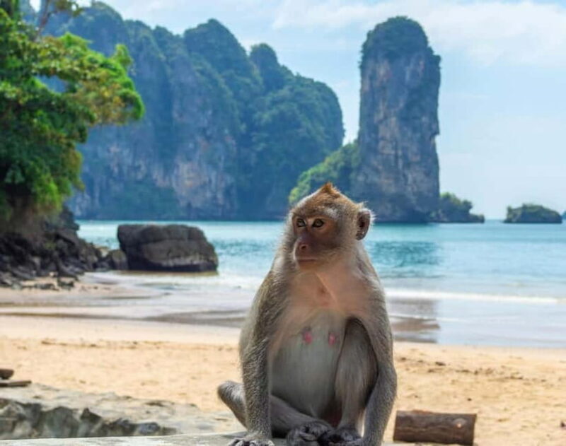 Ko Lanta: Private Exploration Mangroves, Old Town & Beaches - Who Is This Tour Best For?