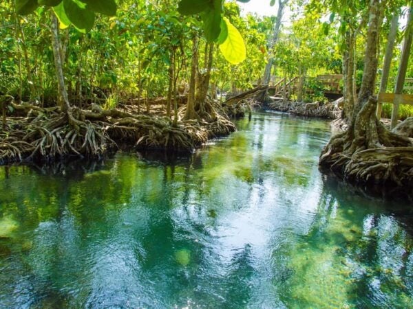 Ko Lanta: Private Exploration– Mangroves, Old Town & Beaches - Questions You May Have