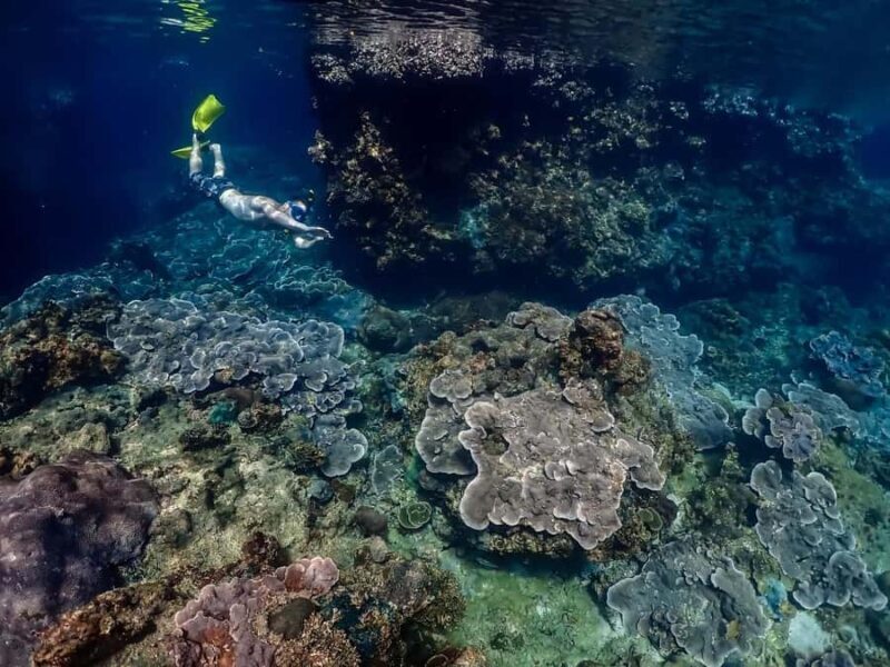 Ko Lanta: Private Long-tail Boat Fishing & Snorkeling Tour - Good To Know