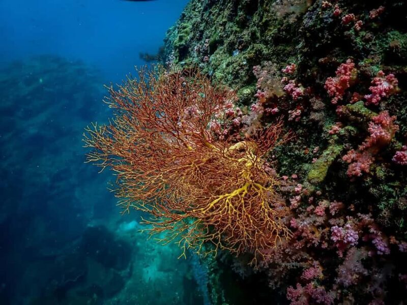 Ko Lanta: Private Long-tail Boat Fishing & Snorkeling Tour - The Full Experience: What to Expect From This Ko Lanta Tour