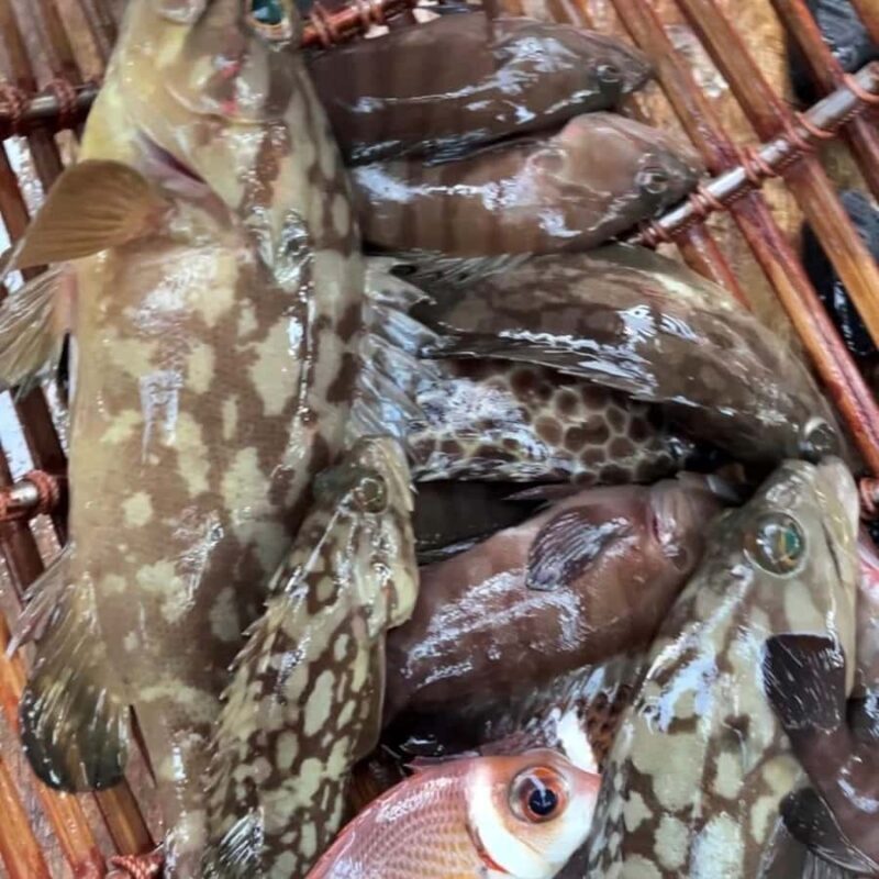 Ko Lanta: Private Long-tail Boat Fishing & Snorkeling Tour - What Reviewers Say and Extra Insights