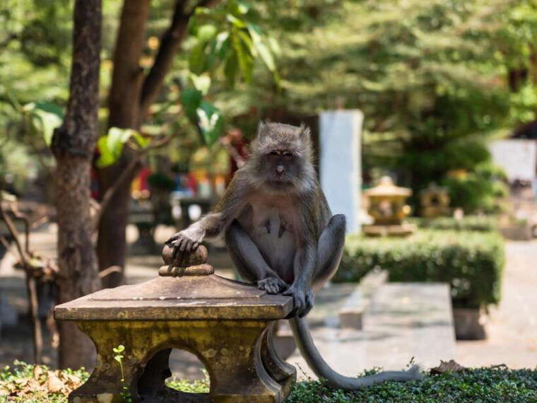 Ko Lanta: Private Tiger Cave, Hot Spring & Emerald Pool Tour - Relaxing at Krabi Hot Springs
