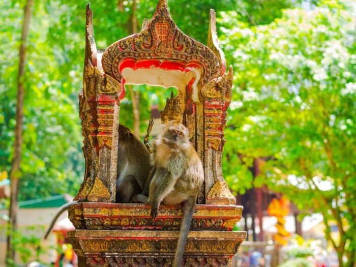 Ko Lanta: Private Tiger Cave, Hot Spring & Emerald Pool Tour - Transportation and Services