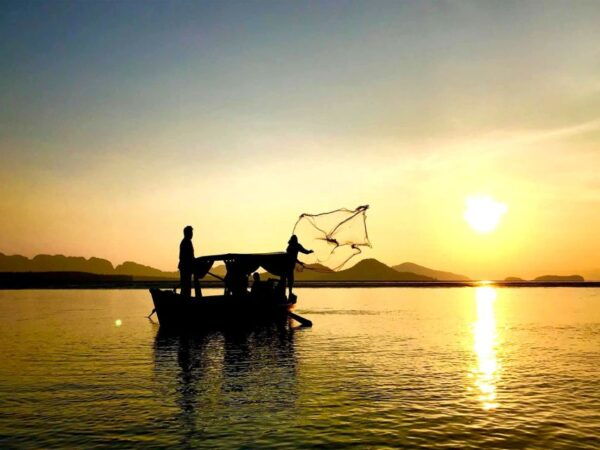 Ko Lanta: Romantic Sunrise Gondola Tour at Tung Yee Peng - The Sum Up