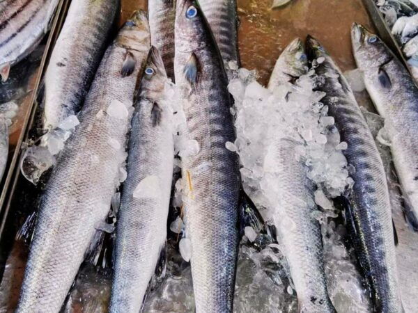 Ko Lanta : Sukho Cuisine Thai Cooking - Duration and Starting Times