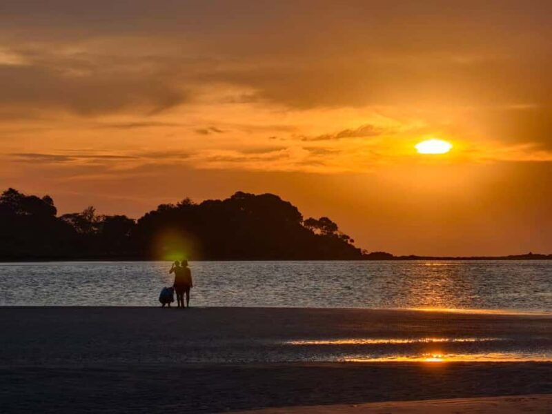 Ko Lanta: Sunset Kayaking & Bioluminescent Plankton Tour - Good To Know  