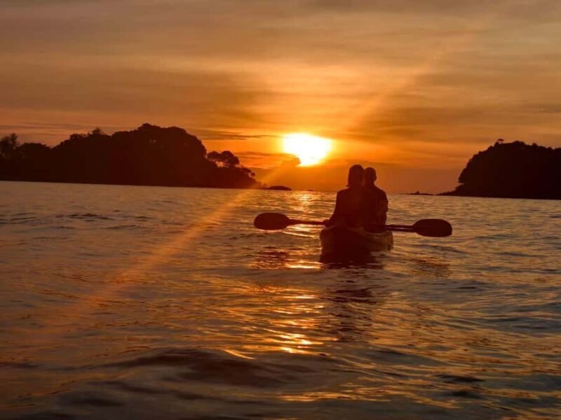 Ko Lanta: Sunset Kayaking & Bioluminescent Plankton Tour - The Sum Up