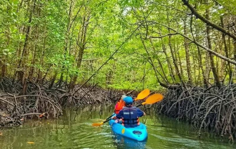 Ko Lanta: The Mangrove Kayaking Experience + Local Lunch - The Practicalities