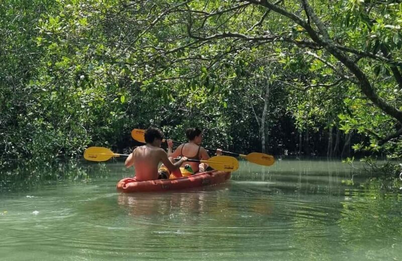 Ko Lanta: The Mangrove Kayaking Experience + Local Lunch - Good To Know  