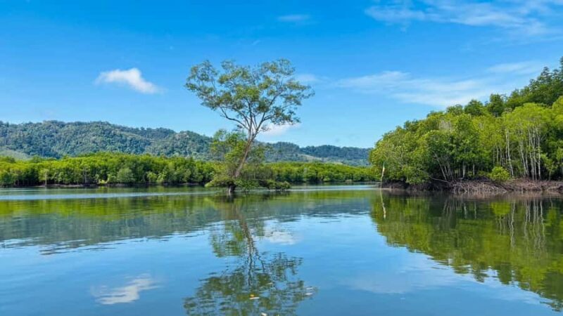 Ko Lanta: The Mangrove Kayaking Experience + Local Lunch - The Sum Up