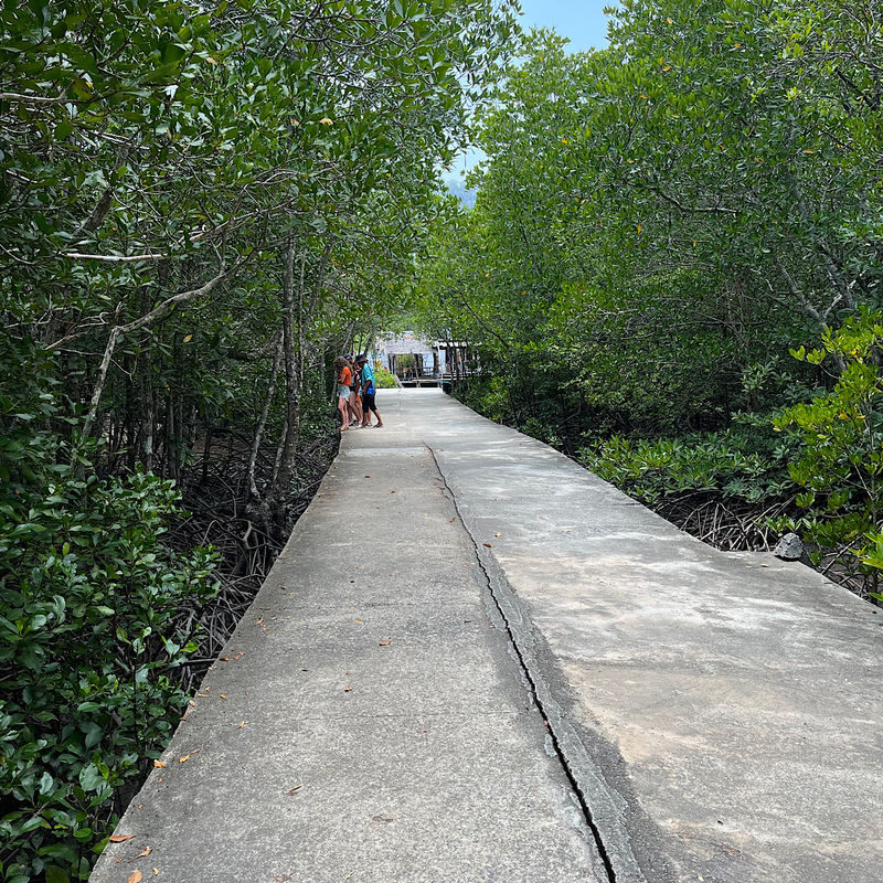 Ko Lanta Tung Yee Peng Pier Half-Day Eco-Tourism & Fishing Tour - What eco-tourism should mean here