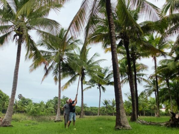 Ko Lanta: Tung Yee Peng Village Eco-Tour With Lunch/Dinner - Itineraries and Location