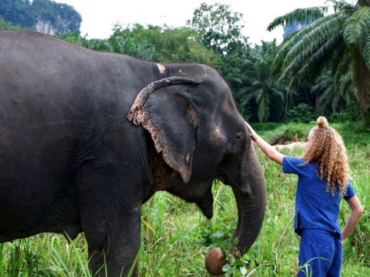 Ko Lanta Yai: Half-Day Ethical Elephant Sanctuary Tour - Experience