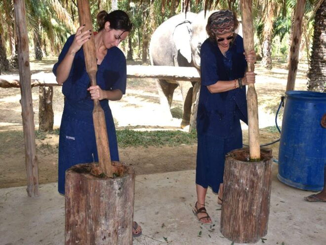 Ko Lanta Yai: Half-Day Ethical Elephant Sanctuary Tour - Highlights
