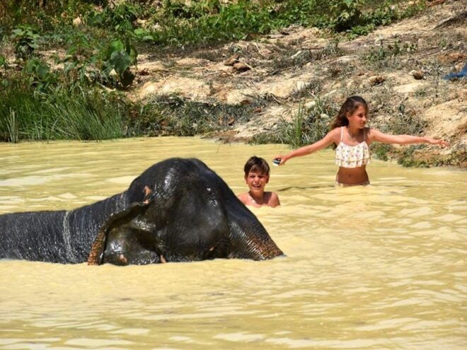 Ko Lanta Yai: Half-Day Ethical Elephant Sanctuary Tour - Inclusions