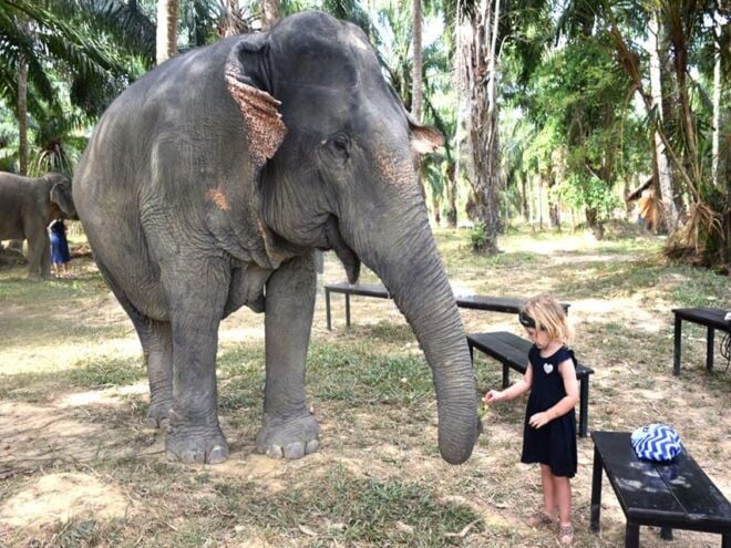 Ko Lanta Yai: Half-Day Ethical Elephant Sanctuary Tour - Customer Reviews