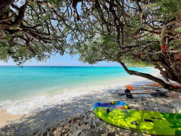 Ko Larn Island VIP Private Day Trip With Water Activities - Tour Guide and Language Support