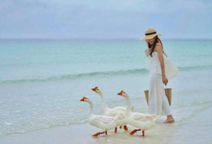 Ko Larn Island VIP Private Day Trip With Water Activities - Frequently Asked Questions