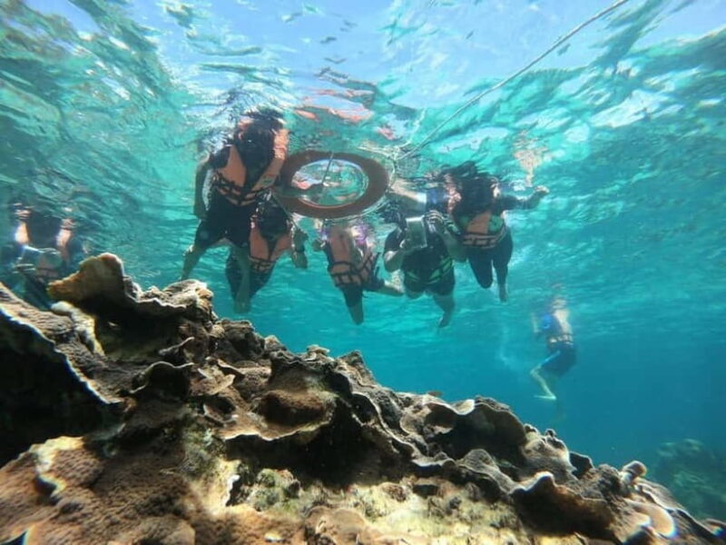 Ko Lipe: Snorkeling Tour Short Way A - The Experience: From Comfort to Adventure
