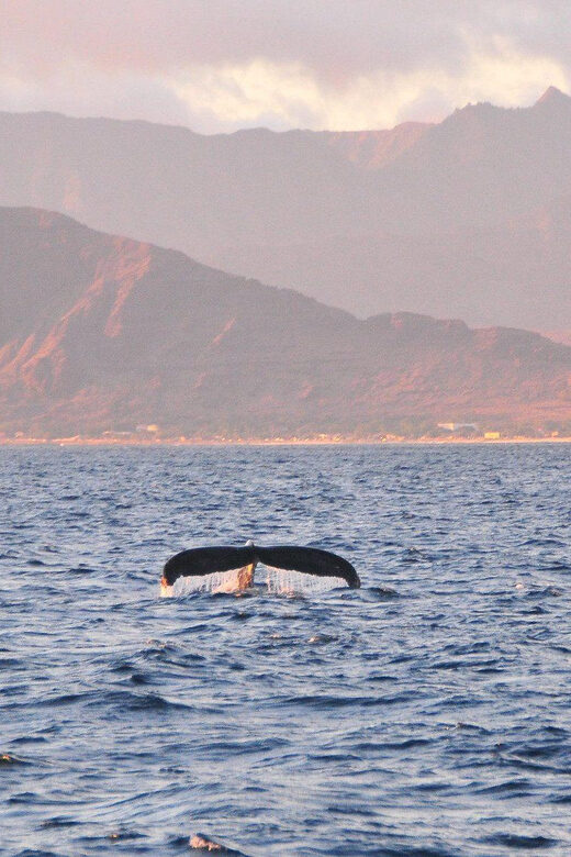 Ko Olina Captain's Sunset + Tasting - Who Will Love This Experience?