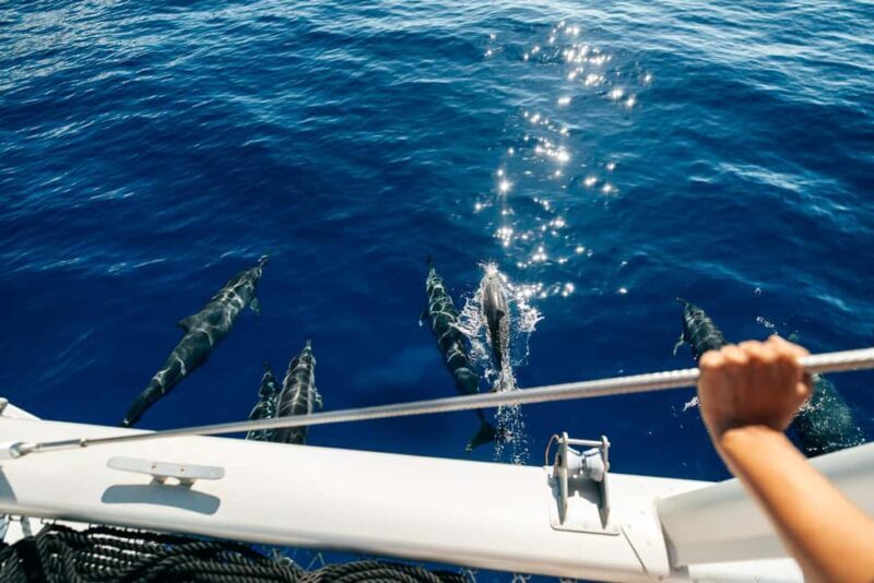 Ko Olina Exclusive Snorkel + Lunch - Scenic Sailing Along West Oahu